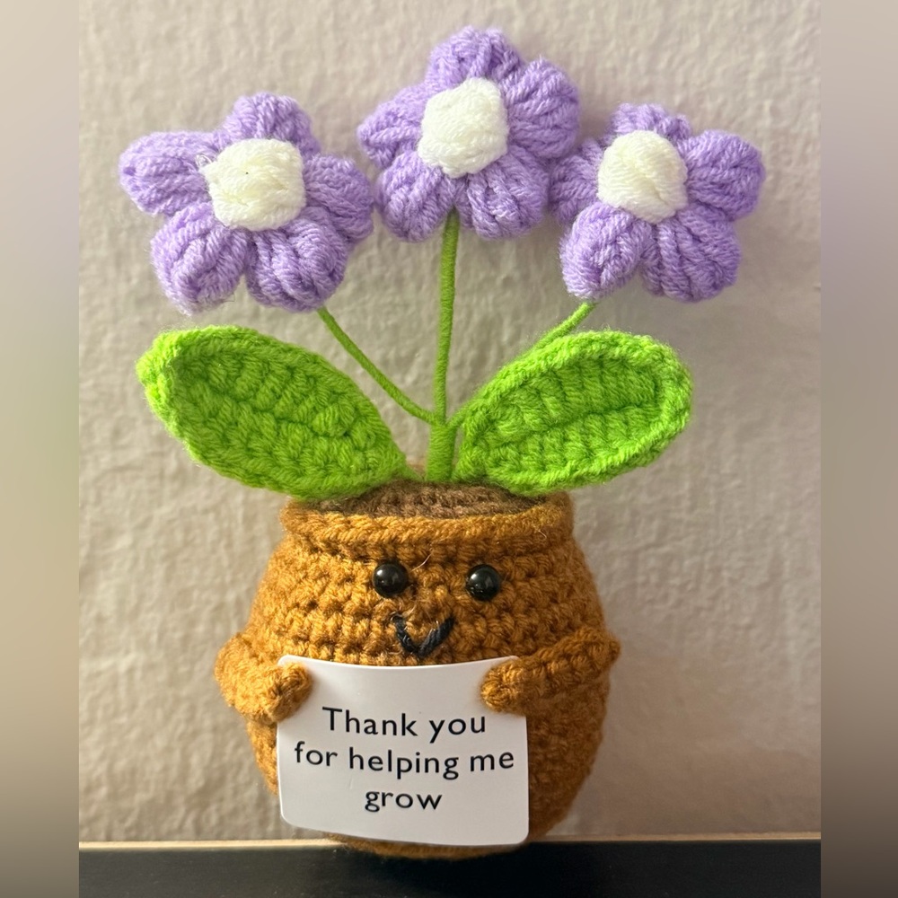 Crochet Flower Pot with Purple Flowers